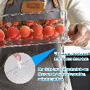 9340457036353 (7).webp