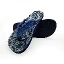 p_rockosnobbyblue.webp