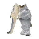 9337217007647.webp